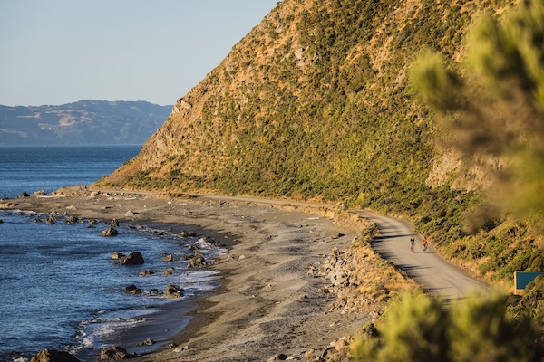 Pencarrow-Coast-Road_East-Harbour-Regional-Park